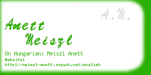 anett meiszl business card